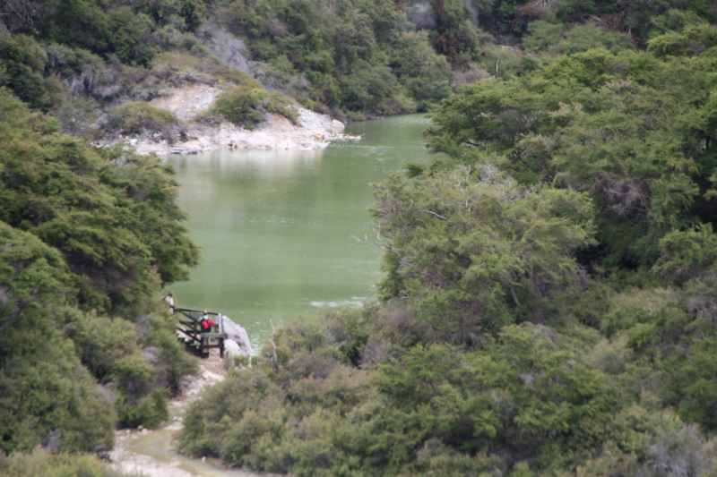 Nieuw-Zeeland 2011 - 0771